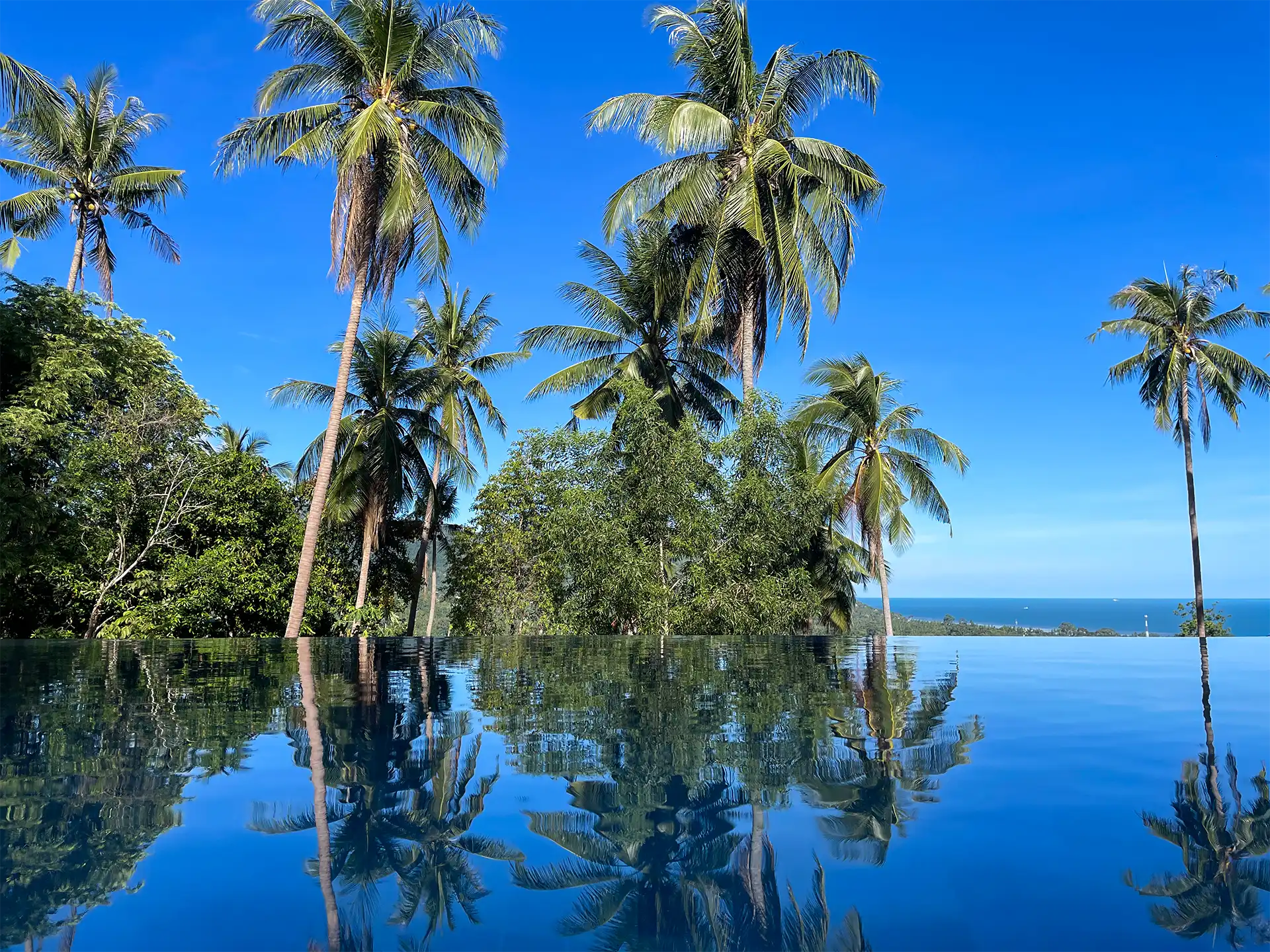 Infinity pool reflection palm trees sea view Villa Altura Koh Phangan