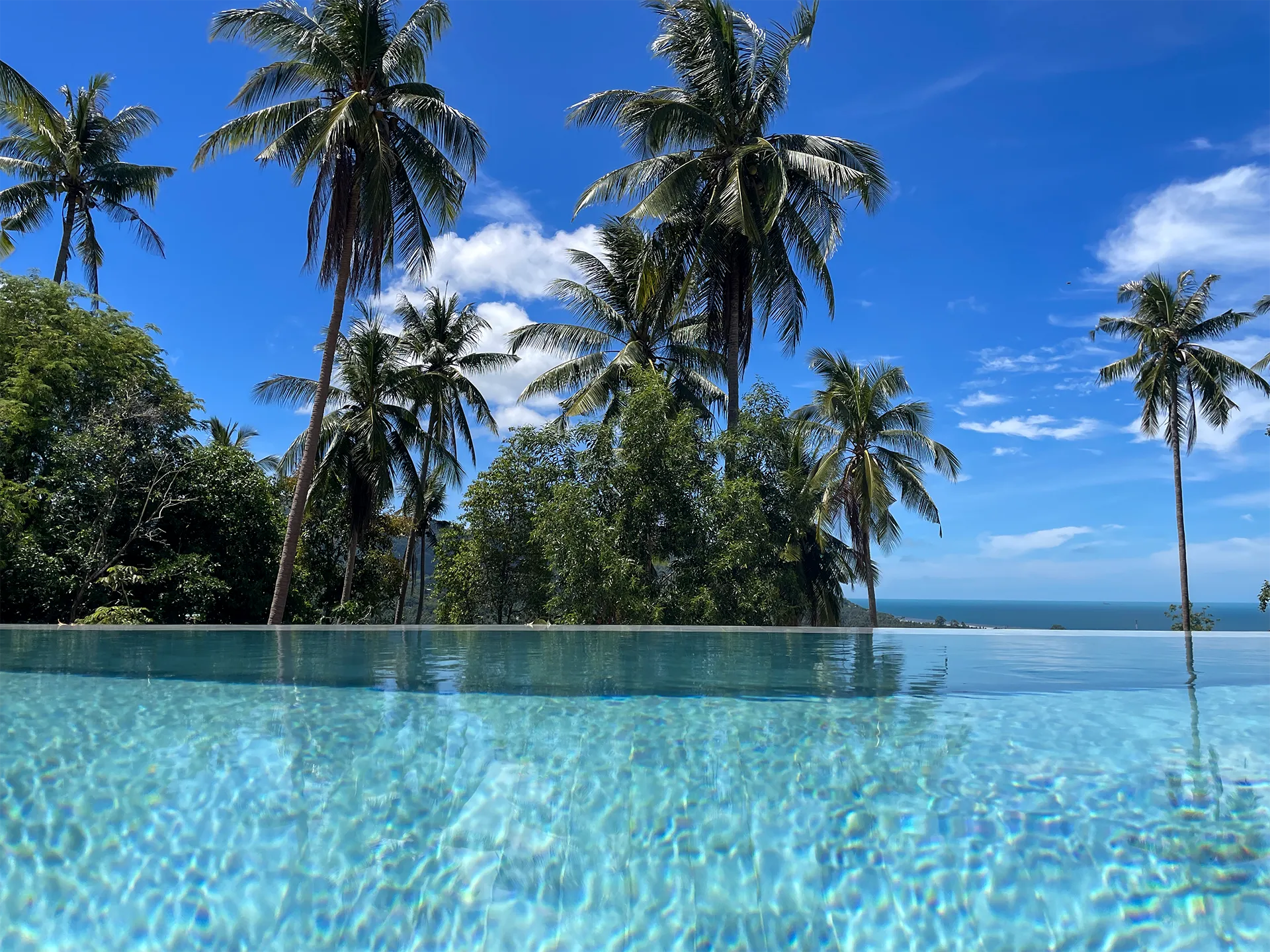 Infinity pool palm trees sea view Villa Altura Koh Phangan Thailand