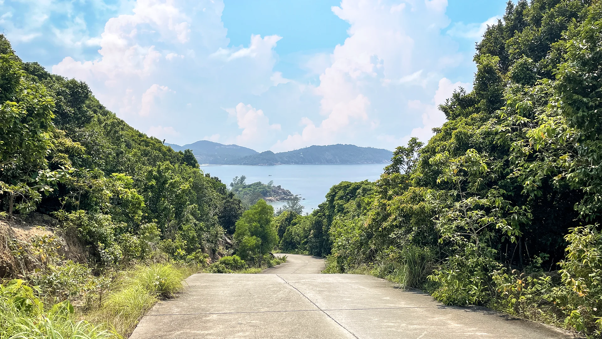 Straße durch den Dschungel hinunter zum Meer auf Koh Phangan