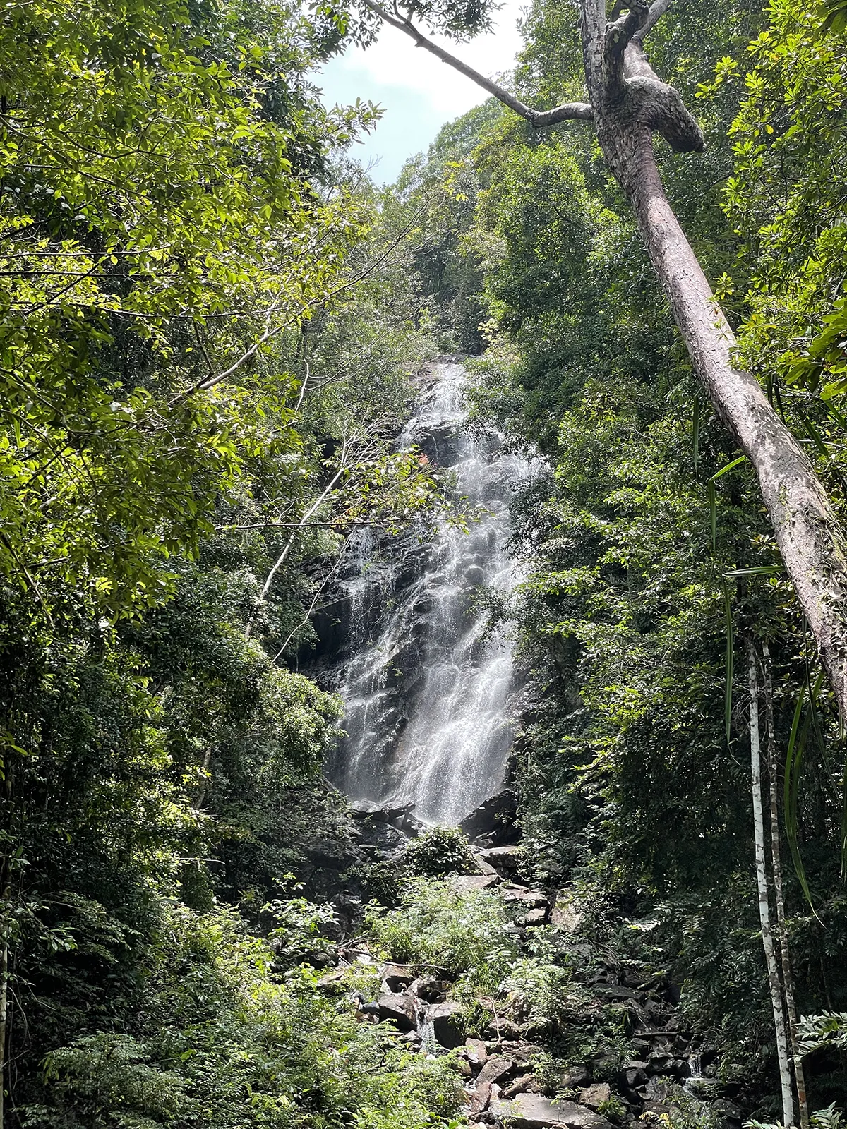 Phaeng Waterfall tropical jungle walk Koh Phangan National Park