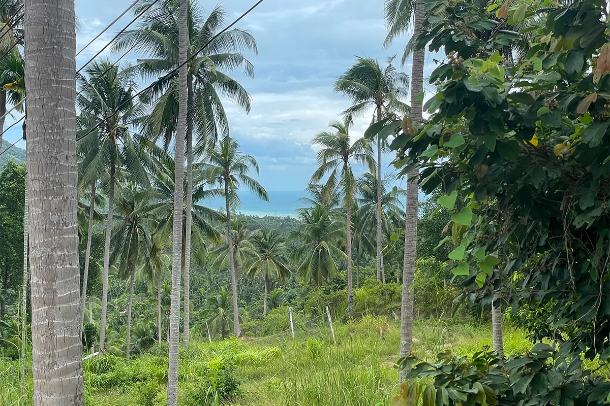 Villa Altura Vue Mer Nuages Dramatiques Koh Phangan Juillet Septembre