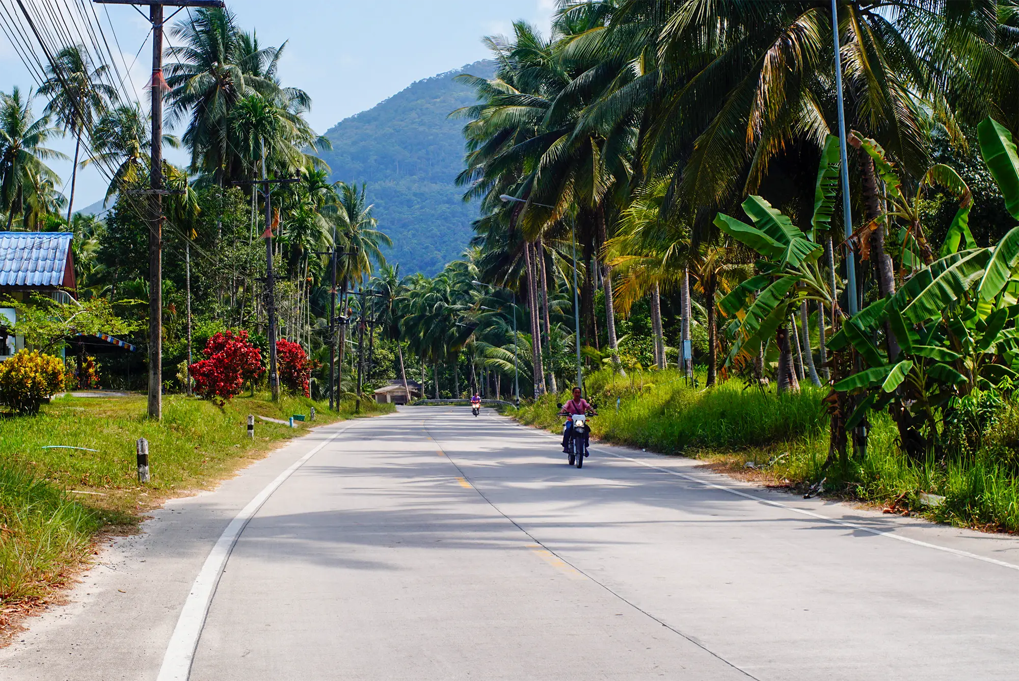 Mountain road opening up on Koh Phangan